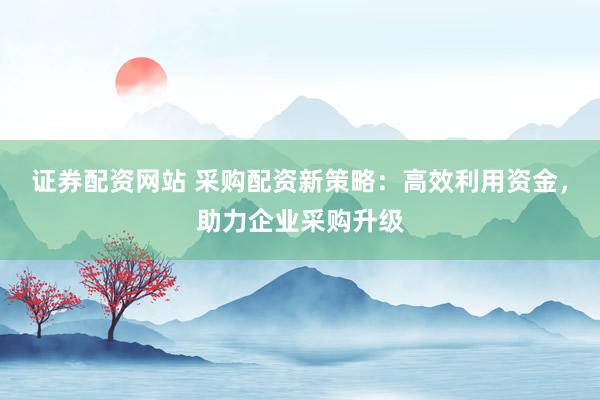 证券配资网站 采购配资新策略：高效利用资金，助力企业采购升级