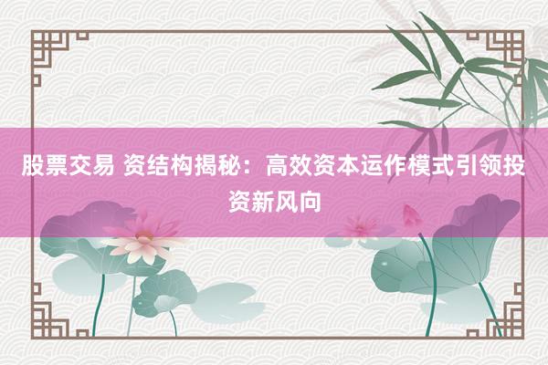 股票交易 资结构揭秘：高效资本运作模式引领投资新风向