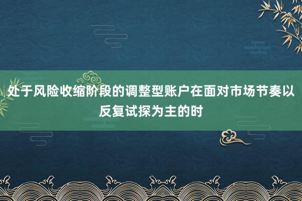 处于风险收缩阶段的调整型账户在面对市场节奏以反复试探为主的时