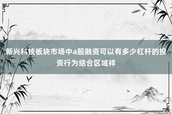 新兴科技板块市场中a股融资可以有多少杠杆的投资行为结合区域样