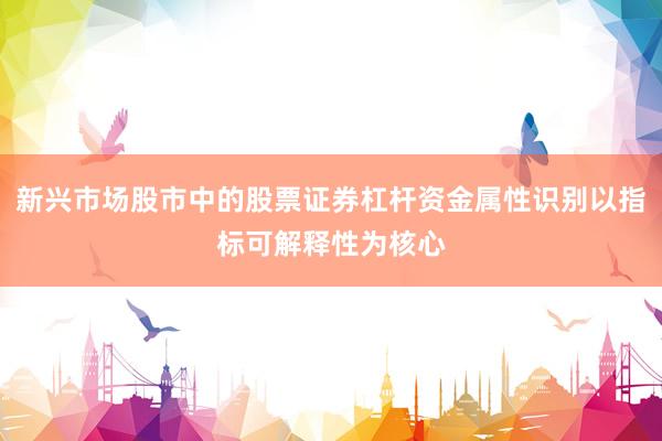 新兴市场股市中的股票证券杠杆资金属性识别以指标可解释性为核心