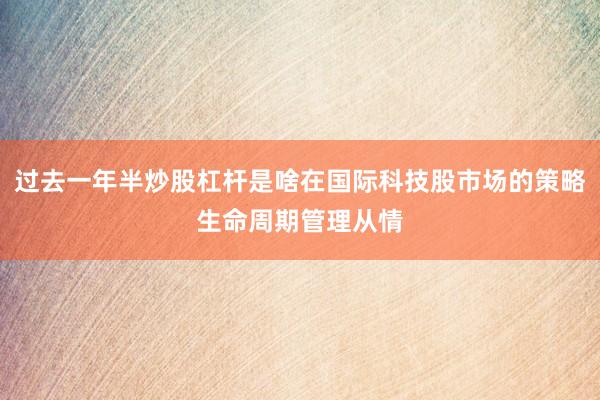 过去一年半炒股杠杆是啥在国际科技股市场的策略生命周期管理从情