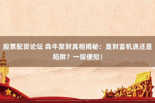 股票配资论坛 犇牛聚财真相揭秘：是财富机遇还是陷阱？一探便知！