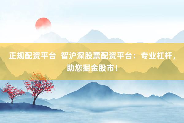 正规配资平台  智沪深股票配资平台：专业杠杆，助您掘金股市！